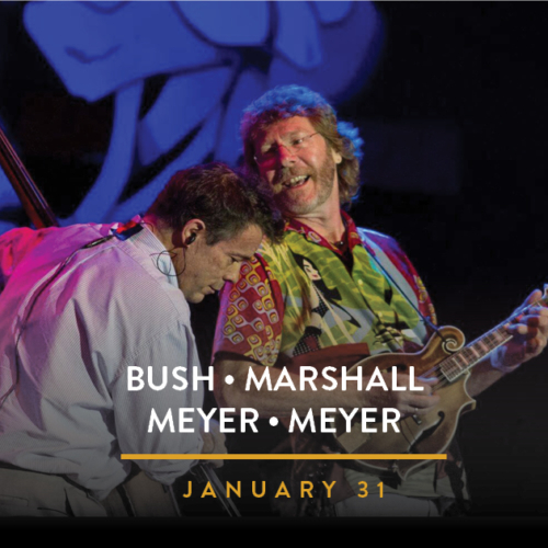 Bush Marshall Meyer Meyer Vbo 630X630
