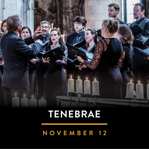 03 Tenebrae 2026 27 Vbo 630X630 3