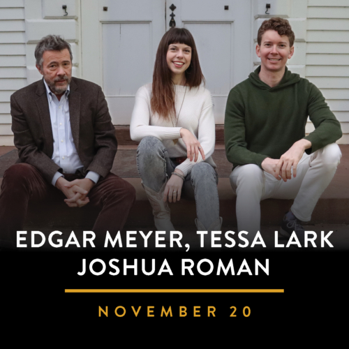 Lark Roman Meyer Vbo